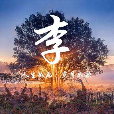 杭州举行古树名木主题展 千年古树祈福未来